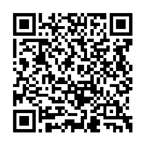 果王通风报信的行为虽然是为了自己和闻人牧月二维码生成