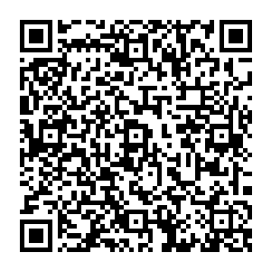 果真是应了那句话 士别三日 当刮目相看 如今的风清扬 本身就很强悍了 若是加上若水 那岂不是如虎添翼二维码生成