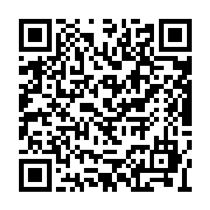 果真有两个粗鲁汉子前来将李氏和梓箐赶出院子二维码生成