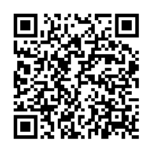 果见里头的软沙堆上半埋着几个足足有半人高的聚火蜥蛋二维码生成