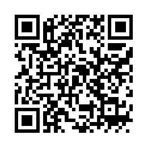 枝条顶端攥有一颗拇指大的黑色种子二维码生成