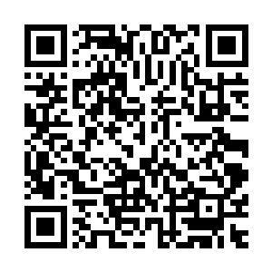 枣枣一个姑娘家带兵打仗在很多人眼中早就属于叛经离道之人二维码生成