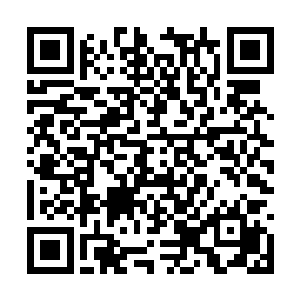 枣枣坐在椅子上睁大着眼睛看着玉熙再那打五禽戏二维码生成