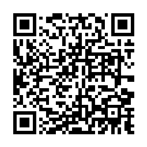 枣枣看着一个一个受伤的士兵从城楼上抬下来脸有些白二维码生成