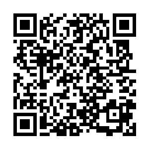 枣枣跟浩哥儿还有睿哥儿他们四人都能继承你的衣钵二维码生成
