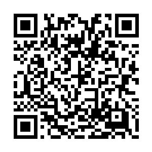 枪声让已经趴在了石堆后面的林锐心中猛地一惊二维码生成