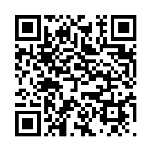 枪身之上各自衍化出一条狰狞的蟠龙二维码生成