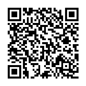 枯叶长廊上的干瘪丧尸是一种介于邪灵与不死者之间的特殊生物二维码生成
