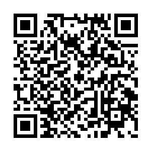 枯瘦的手掌犹如厉鬼抓魂向着叶尘头顶慢慢探来二维码生成