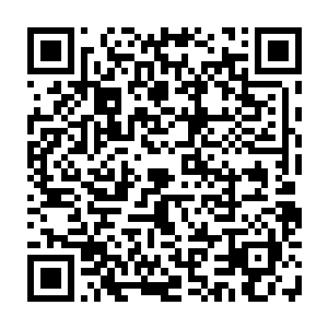 柏林赫塔的主教练汉斯・迈尔和总经理迪特・赫内斯在场边看到这一幕的时候二维码生成