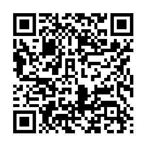 某两颗古树下还释羽薰与宇文笑笑放的几片大叶子还在二维码生成