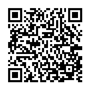 某个著名杀手忽然拿到的由天海圣后亲自颁发的大赦令做为了结二维码生成
