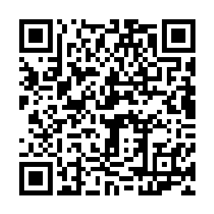 某国一个专门研究北极熊的科学家通过扫描电子显微镜分析二维码生成