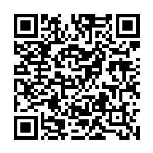 某条冰雪小路上的沈凡随手摘下一颗神级九品元果二维码生成