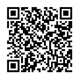 某某去了几趟韩国回来特么像变了个人都快认不出来了二维码生成