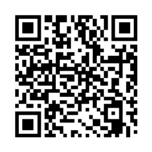 某某户人家的牛生了一只两个脑袋的小牛二维码生成