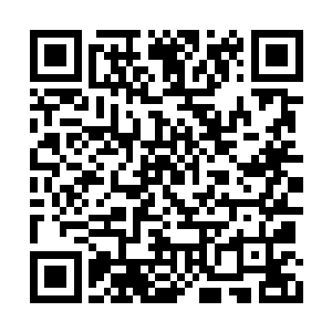 某种程度上就是有六个替死鬼在替自己承担压力二维码生成