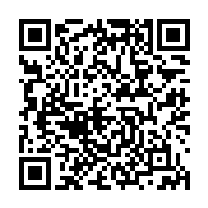 柑之所以跟他亲近是想要找他帮忙打听龙北的事情二维码生成
