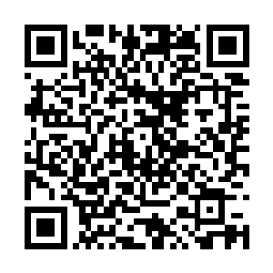 柔惜带着李奇急急忙忙的沿着屋子左侧的小路行去二维码生成