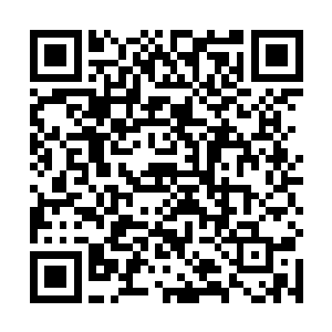 查出了活人被击打之后又存活一段时间ォ有的高度水肿二维码生成