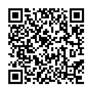 查查联邦政府是由哪个部门负责这类特殊供应的二维码生成