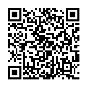 查理不可能把这些国宝文物从箱子里取出来认真查验二维码生成