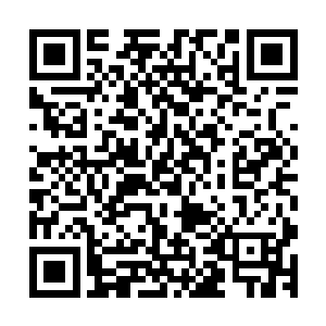 查理兹和艾琳的生命轨迹在最开始的阶段有着一丝的相似之处二维码生成