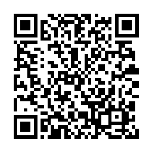 查理兹细细地看着墙壁上那留下时间痕迹的壁纸二维码生成