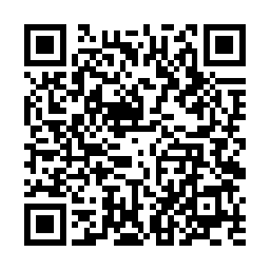 柯林塞又点头哈腰的跑到前面开动车辆迎接一行人上去二维码生成