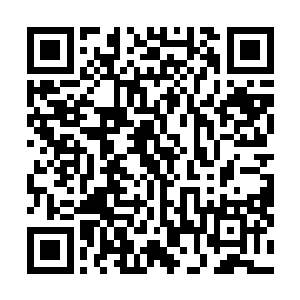 柯蒂斯音乐学院需要的正是joy这样富有才华和激情的学员二维码生成