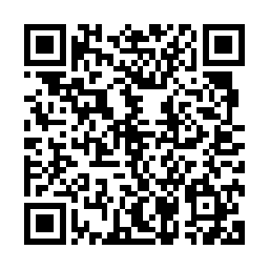 柯震当然不会把昨天晚上自己被人整了一夜的事情告诉给杨老二维码生成