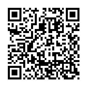 柱子本身上则缠绕着暗黑色的犹如蚯蚓般的血管二维码生成