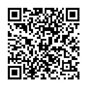 柳一清身上原本正在衰弱的气势又猛地增长了起来二维码生成