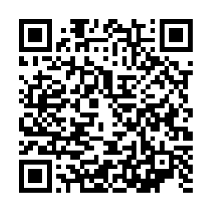 柳下会姜狼才尽是个大水比……十二个字就错了三四五六个二维码生成