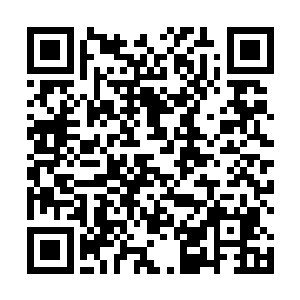 柳丞相拿了圣旨带着抄家的官员侍卫才刚刚走出了宫门二维码生成