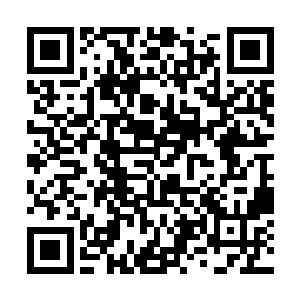 柳仙儿想不到杜铭竟然真敢在大庭广众之下对她出手二维码生成