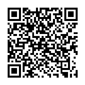 柳仙君和福临海等矮人星的修士也都看向了许紫烟和许琴扬二维码生成