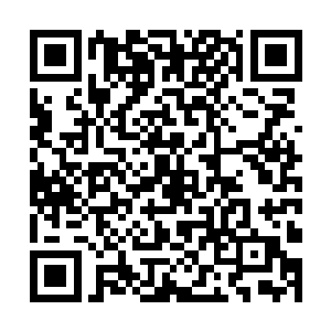 柳儿这次根本不准备再给常氏以及封莲雾留任何脸面二维码生成