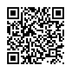 柳八和欧阳志远的身形转动的极快二维码生成