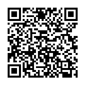 柳妃和沈妃也无非是靠了母族背景和哄着皇上的手段二维码生成