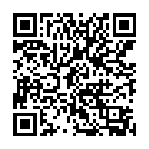 柳妃和沈妃那两个贱人再没能力蹦跶阻止我的钰儿继承大统二维码生成