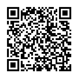 柳寿永最后说的是苗坤生也别把明水干部都当傻傻看二维码生成