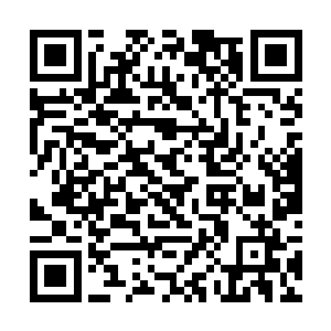 柳志山彻底被纳甲土尸吓垮了他急忙给纳甲土尸跪下二维码生成