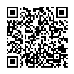 柳明信可是还没忘自己弟弟的火鸡书城是怎么被干倒的二维码生成