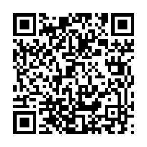 柳昔卿一开始只以为晏修不过是个普通的高阶修士二维码生成