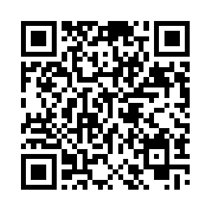 柳树干里面瞬间又涌出了一大片压着过来二维码生成