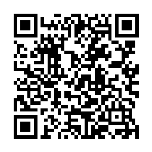 柳清寒心中觉得自己一个元婴期大修士如此要求一个晚辈二维码生成