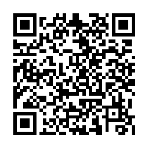 柳清浅听到怀柔的话后抬起头朝着怀柔看了过去二维码生成