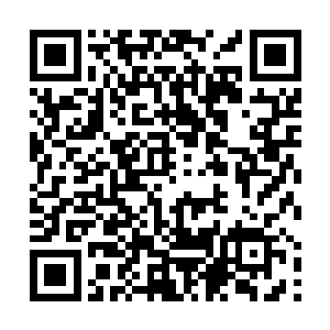柳琴不知道这个眼神是否代表了叶凡心中有必胜的信心二维码生成