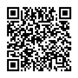 柳琴似笑非笑的看着眼前抚着胸口似乎惊吓过度二维码生成